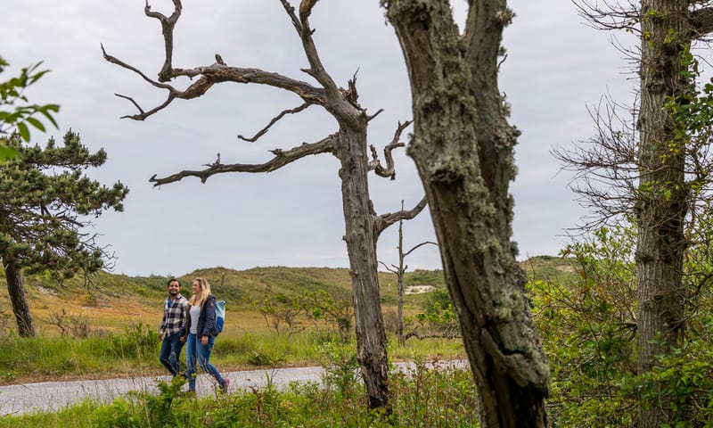 Wandeling Zwanenwater