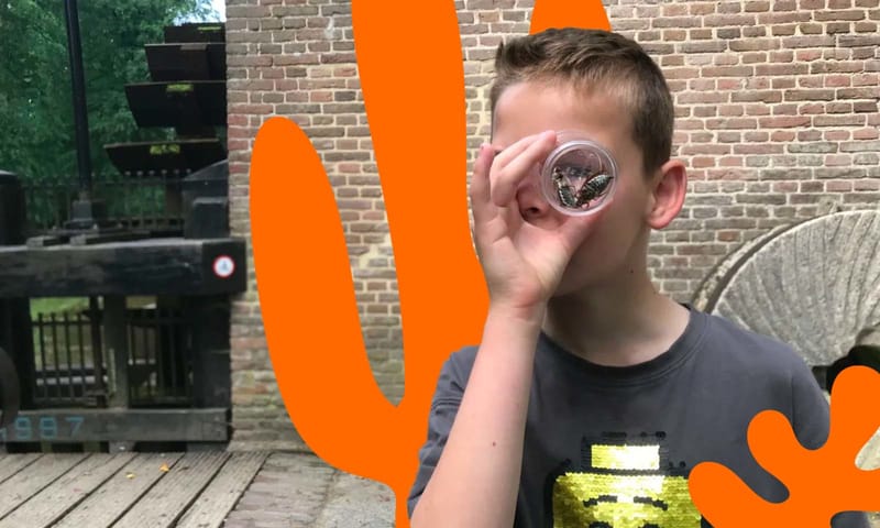 Ga op keversafari