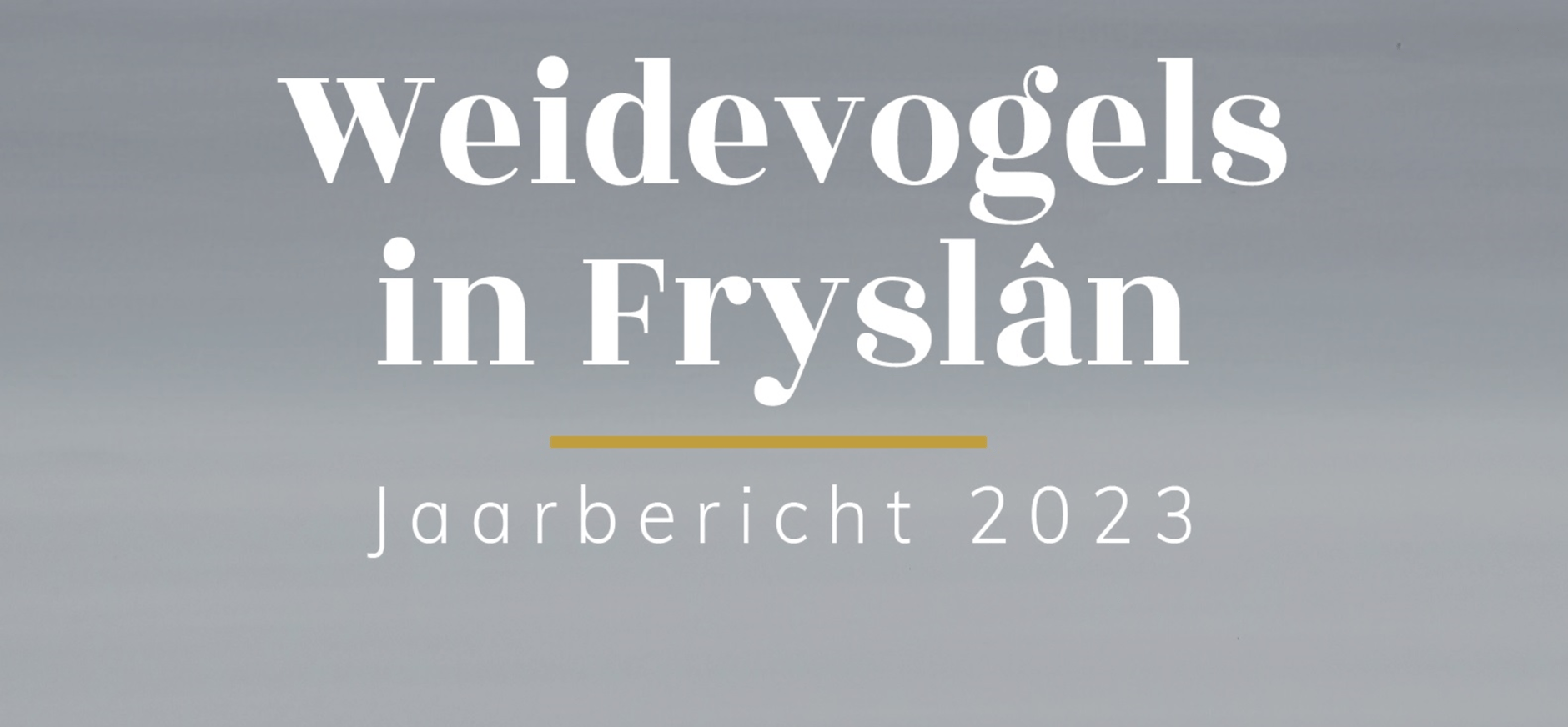 Cover jaarbericht 2023 Cover jaarbericht 2023