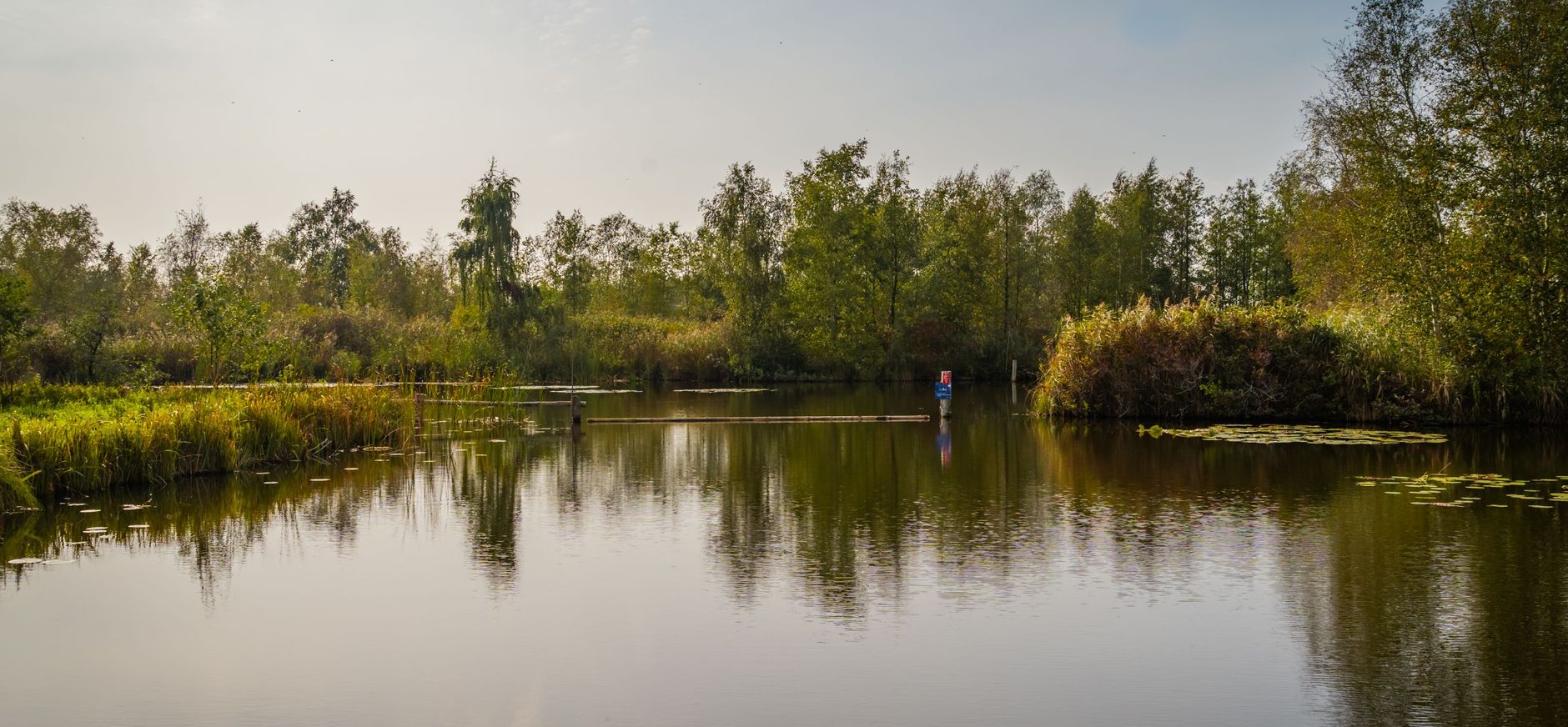 Schoon water in de Nieuwkoopse Plasse