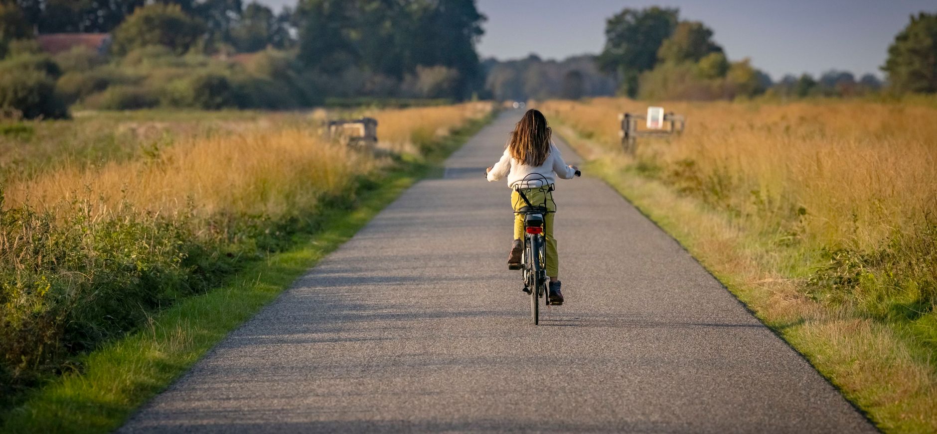 Weg door het Fochteloërveen Weg door het Fochteloërveen