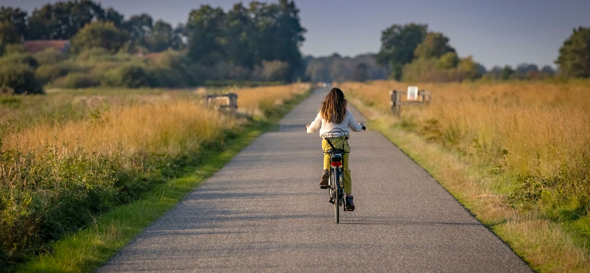 Weg door het Fochteloërveen Weg door het Fochteloërveen