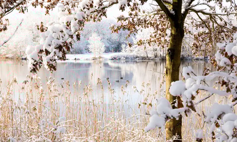 Sneeuwfoto Sneeuwfoto