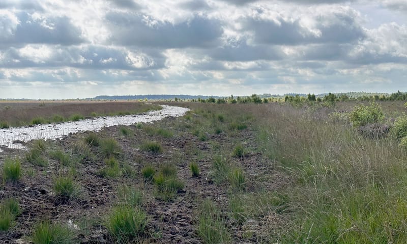 Herstelde kade Fochteloerveen