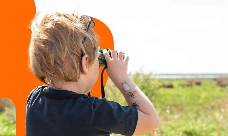 Wandelen bij de Onlanden