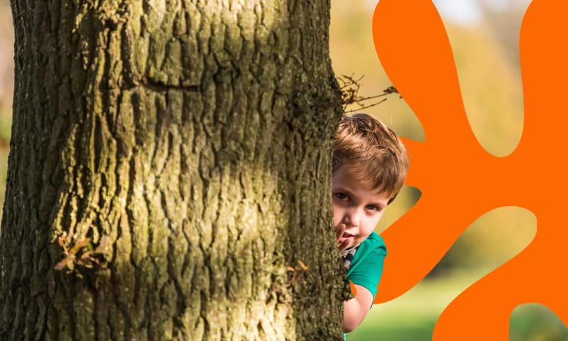 Wandelen met kinderen bij 's Graveland