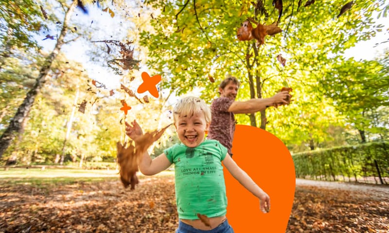 Wandelen met kinderen in de Kaapse Bossen