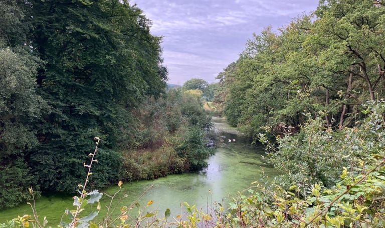 Uitzichtpunt Steile Oever