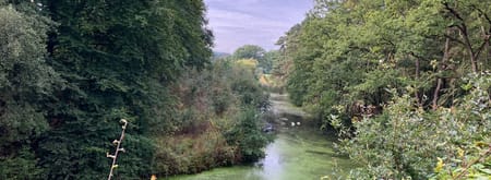 Uitzichtpunt Steile Oever