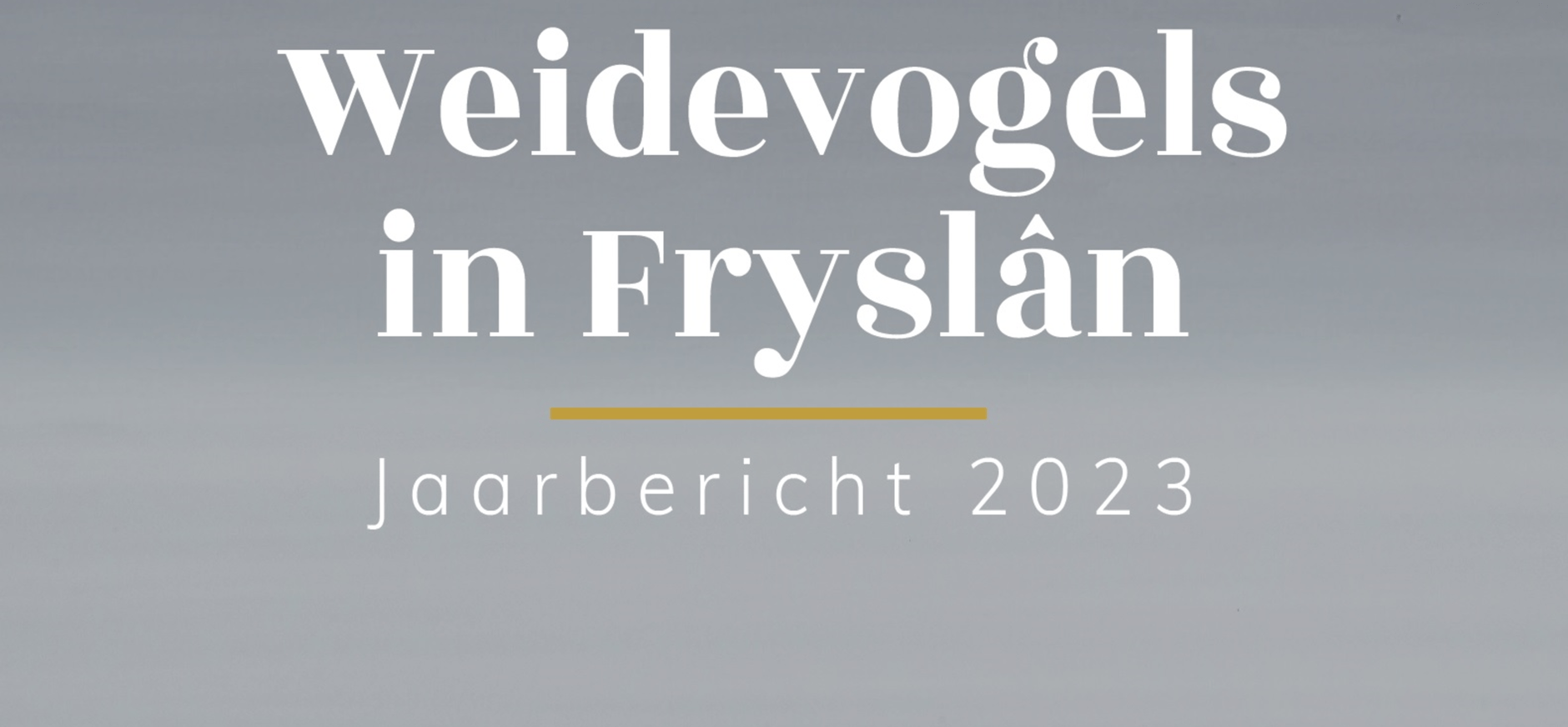 Cover jaarbericht 2023