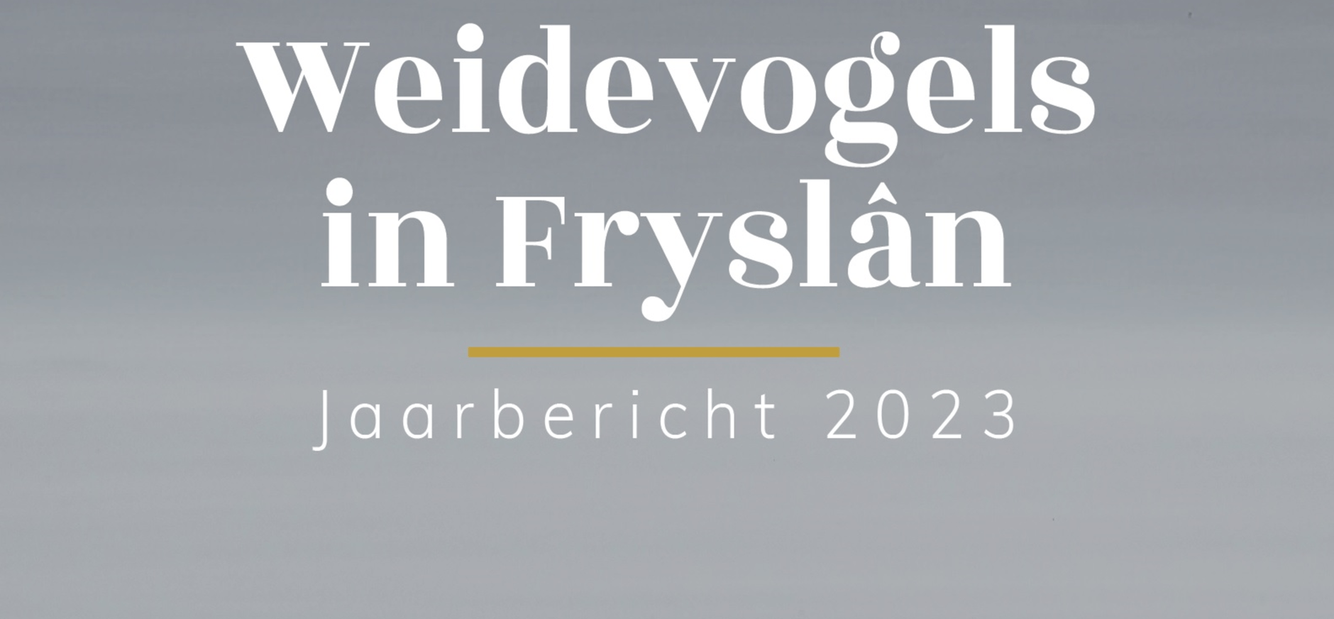 Cover jaarbericht 2023 Cover jaarbericht 2023
