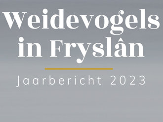 Cover jaarbericht 2023