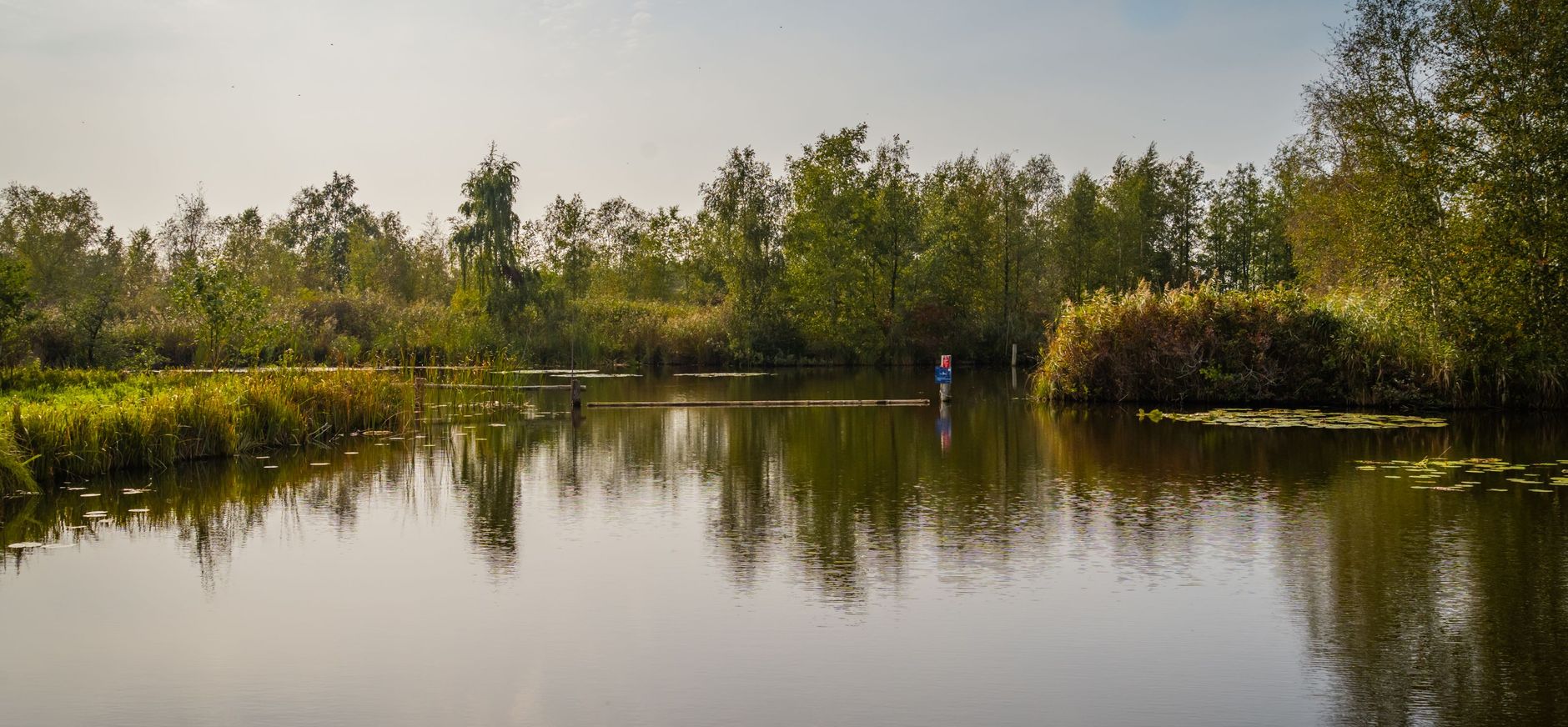 Schoon water in de Nieuwkoopse Plasse