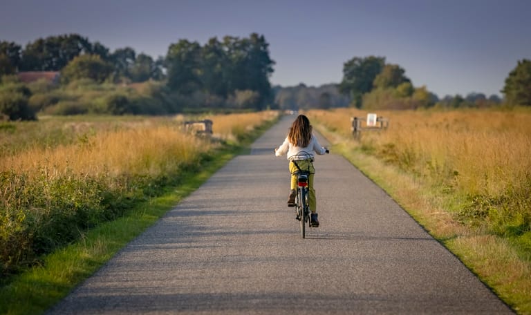 Weg door het Fochteloërveen