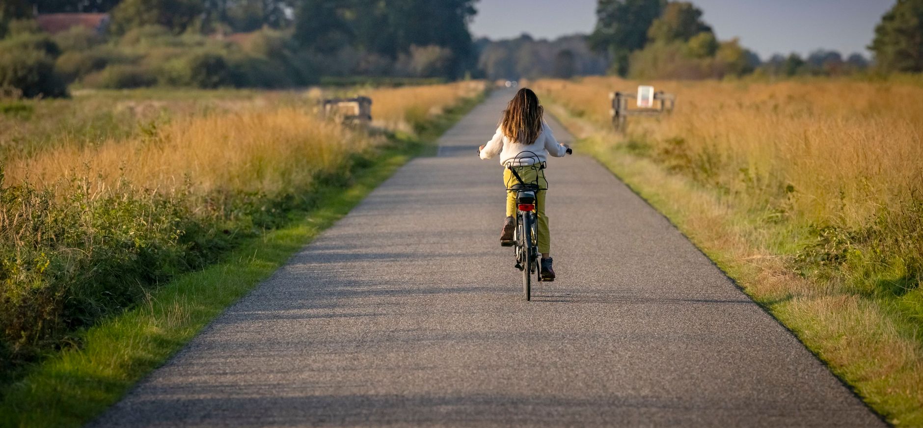 Weg door het Fochteloërveen