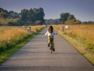 Weg door het Fochteloërveen