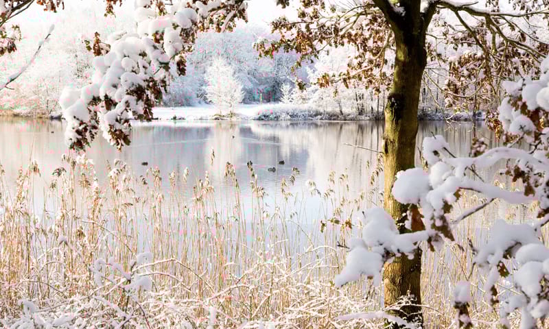 Sneeuwfoto Sneeuwfoto