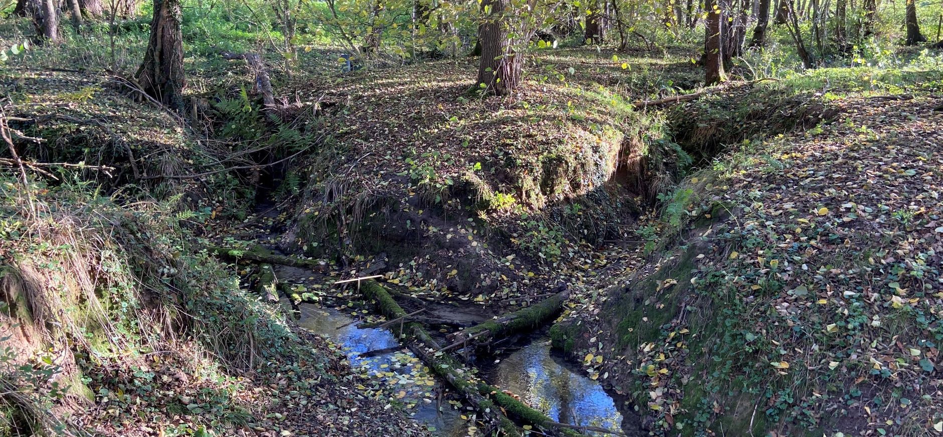 Diep ingesneden Noor