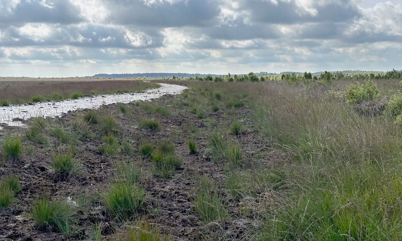 Herstelde kade Fochteloerveen