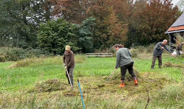 Vrijwilligers aan het werk in het Voorsterbos