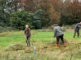 Vrijwilligers aan het werk in het Voorsterbos
