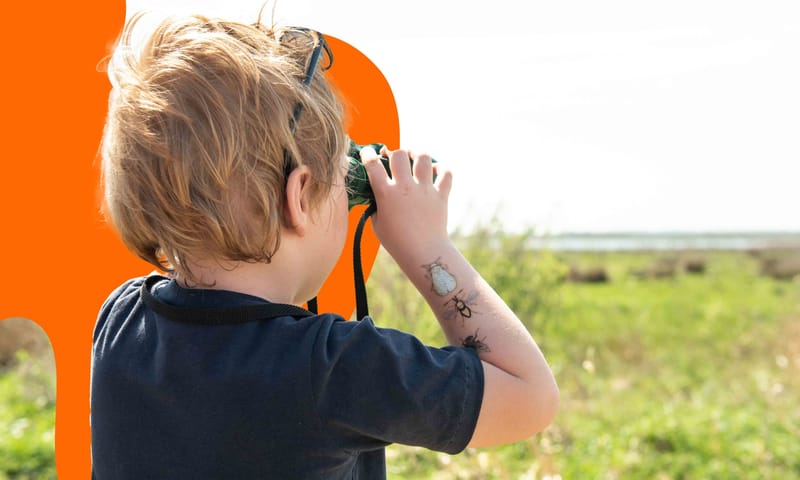 Wandelen bij de Onlanden