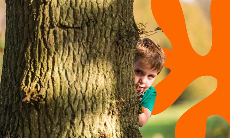 Wandelen met kinderen bij 's Graveland