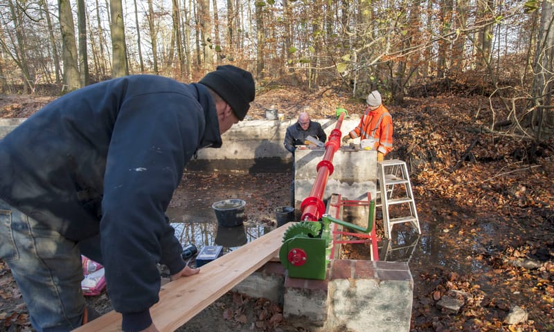 Vrijwilligers aan het werk Waterloopbos