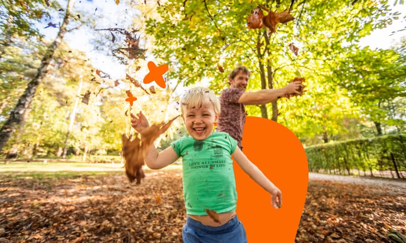 Wandelen met kinderen in de Kaapse Bossen