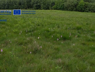 Interreg logo