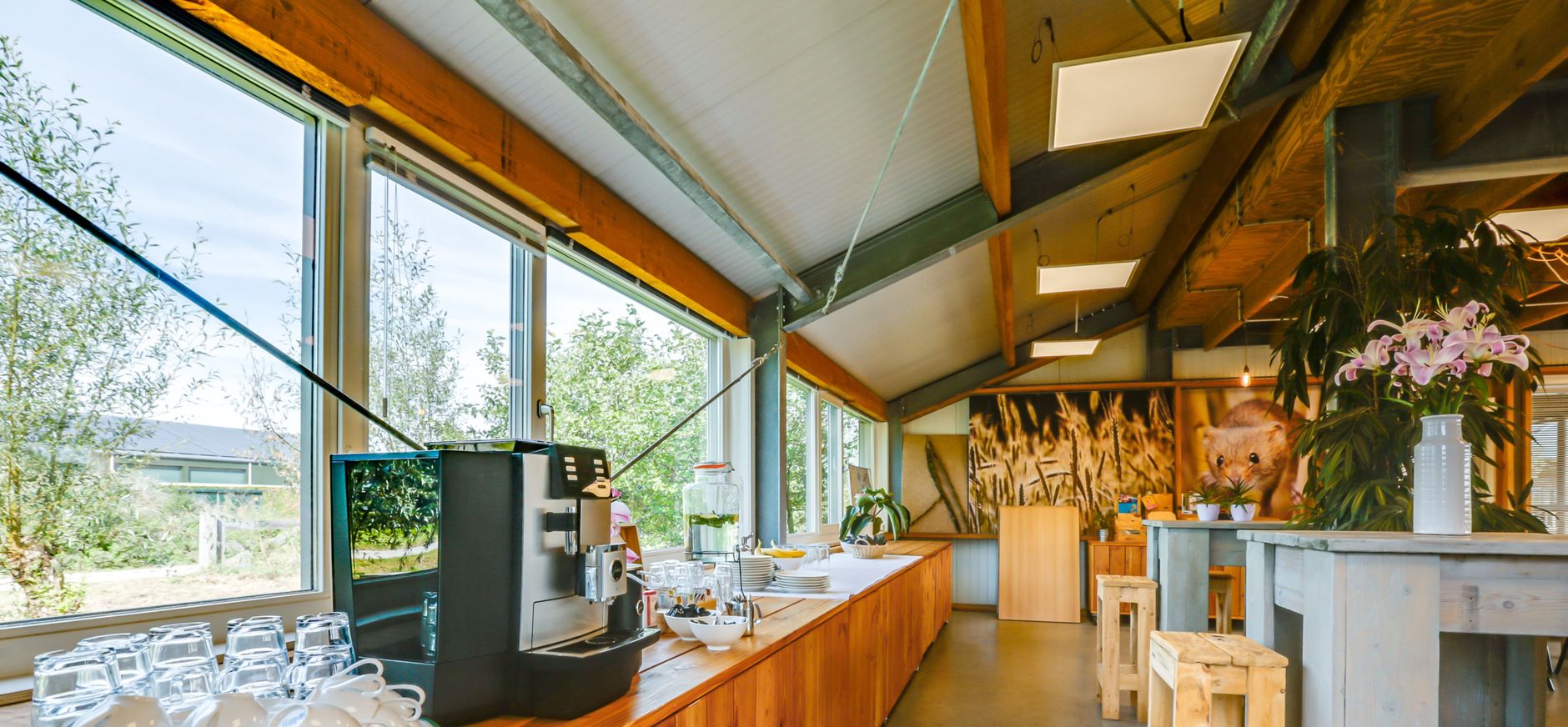 Hoevewielrevelt - Koffie Hoevewielrevelt - Koffie