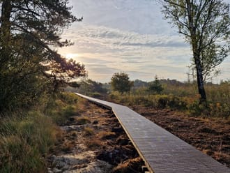 nieuw vlonderpad Korenburgerveen