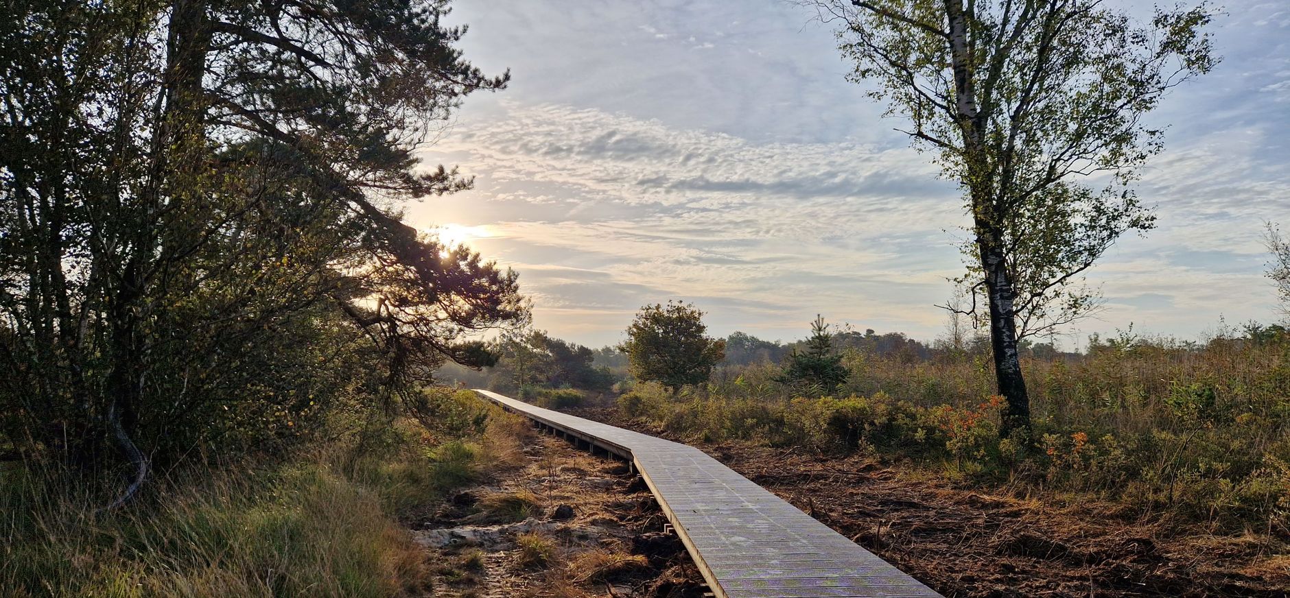 nieuw vlonderpad Korenburgerveen