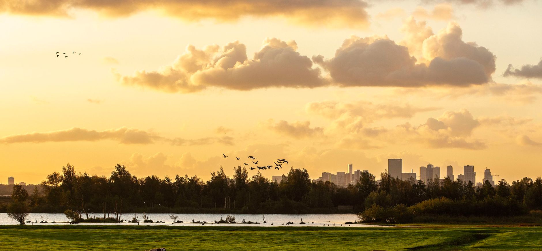 Ackerdijkse Plassen