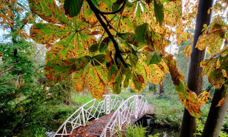 Buitenplaats De Tempel in de herfst