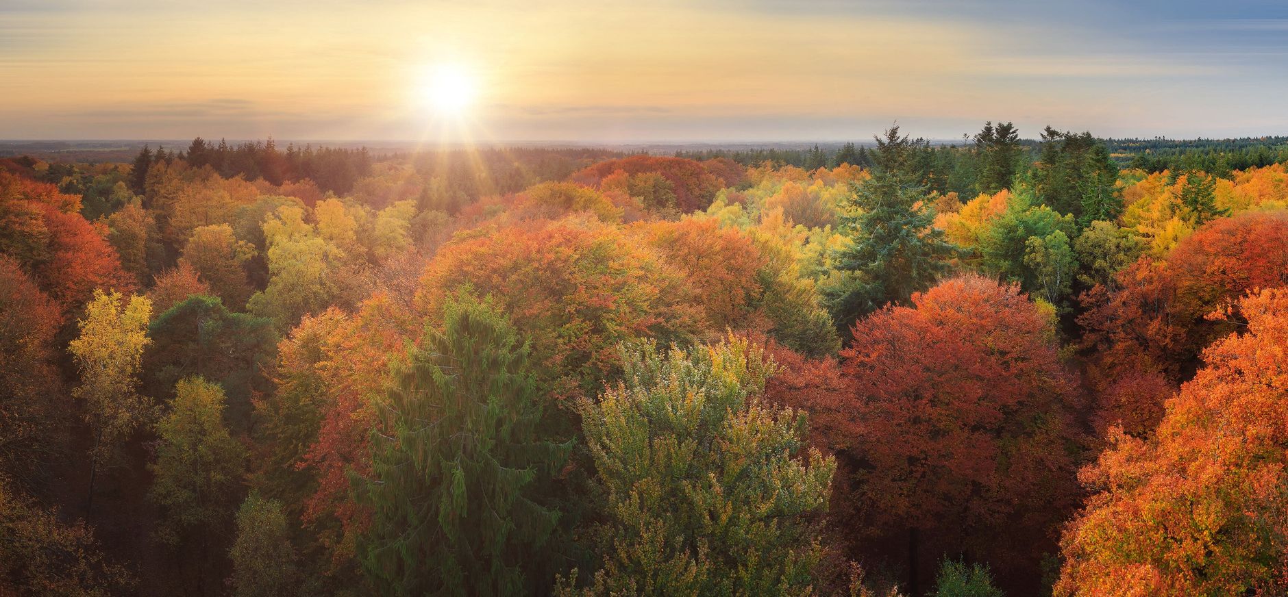 Kaapse Bossen in de herfst Kaapse Bossen in de herfst