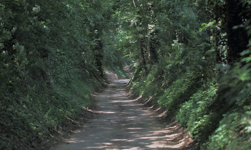 Holle weg in Thull Holle weg in Thull