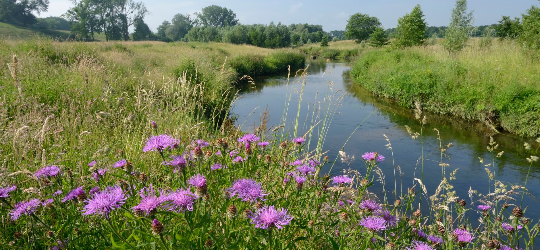 Geleenbeekdal Geleenbeekdal