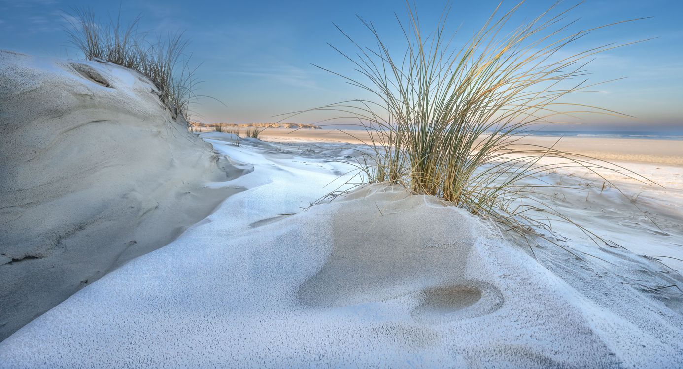 Duinen