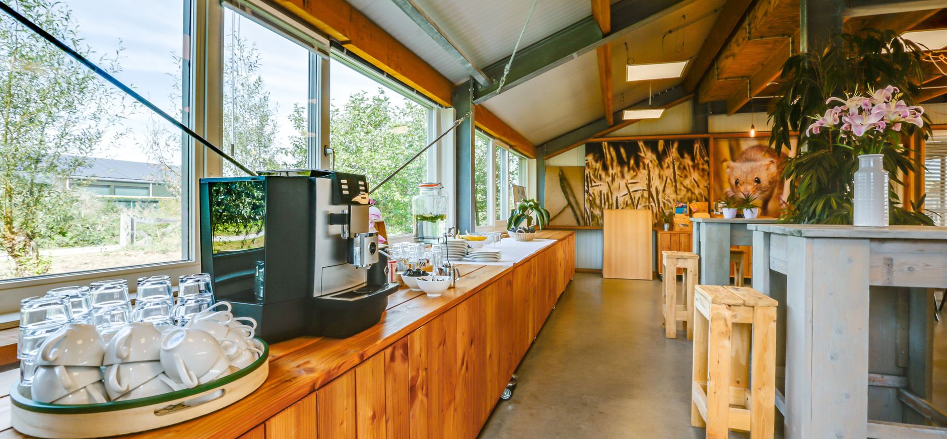 Hoevewielrevelt - Koffie