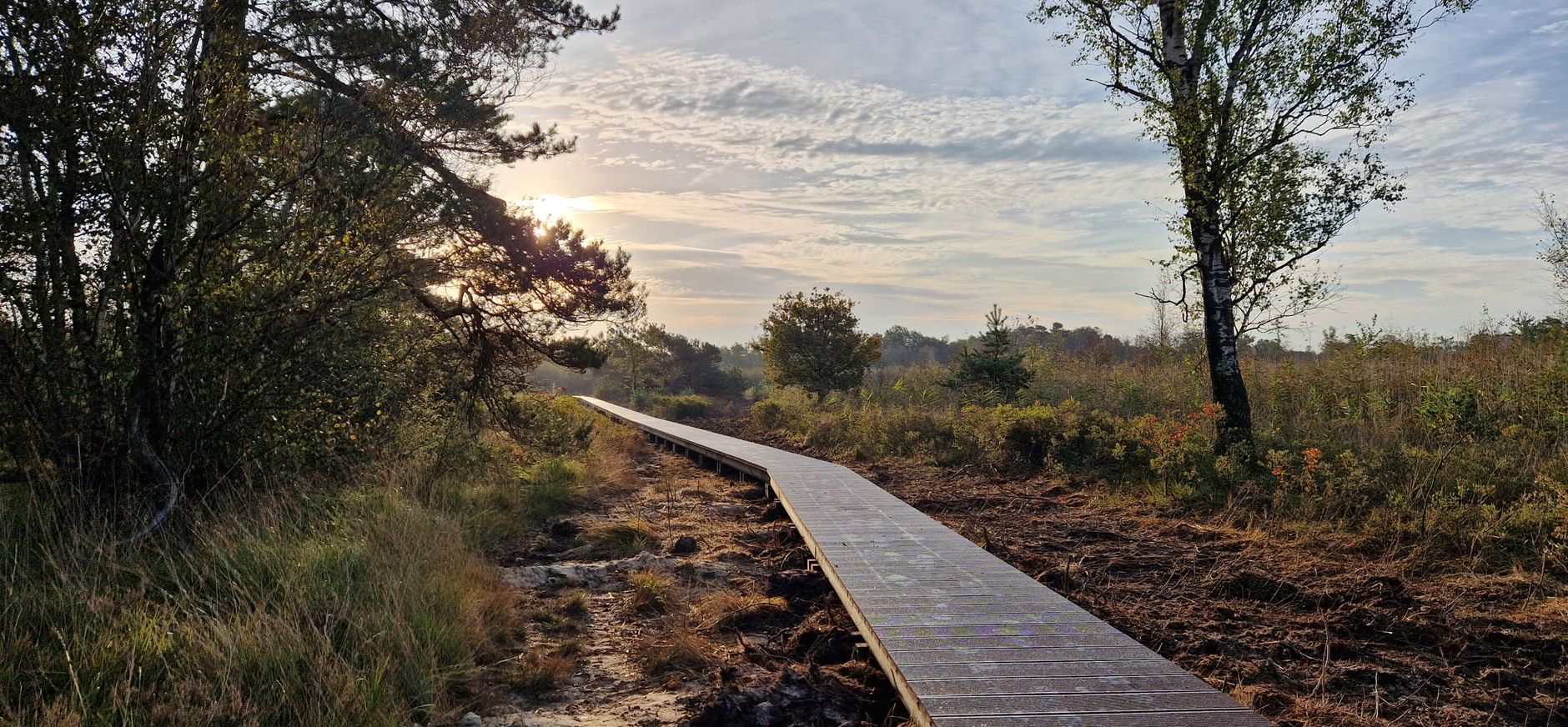 nieuw vlonderpad Korenburgerveen