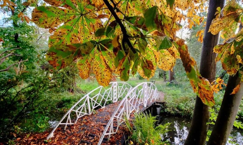 Buitenplaats De Tempel in de herfst