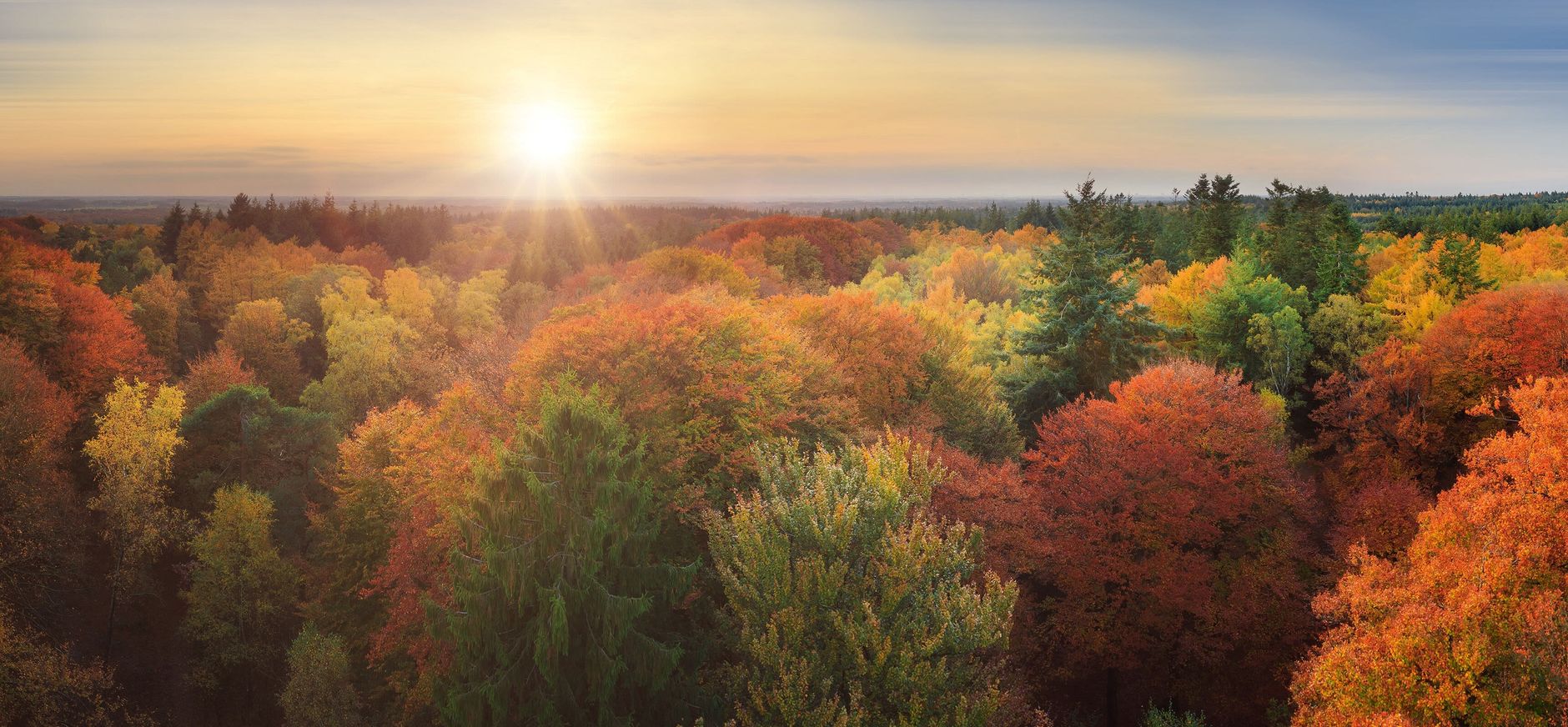 Kaapse Bossen in de herfst Kaapse Bossen in de herfst