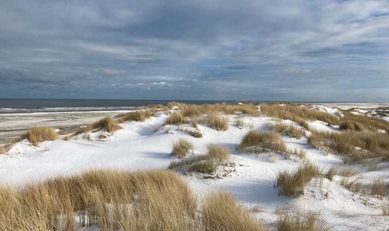het stranden in de winter
