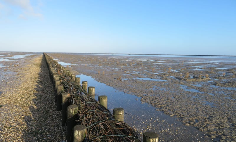 Het Uithuizerwad met zicht op de Waddenzee.