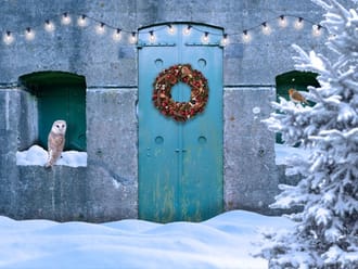 Beleef de kerst op Fort bij Nigtevecht