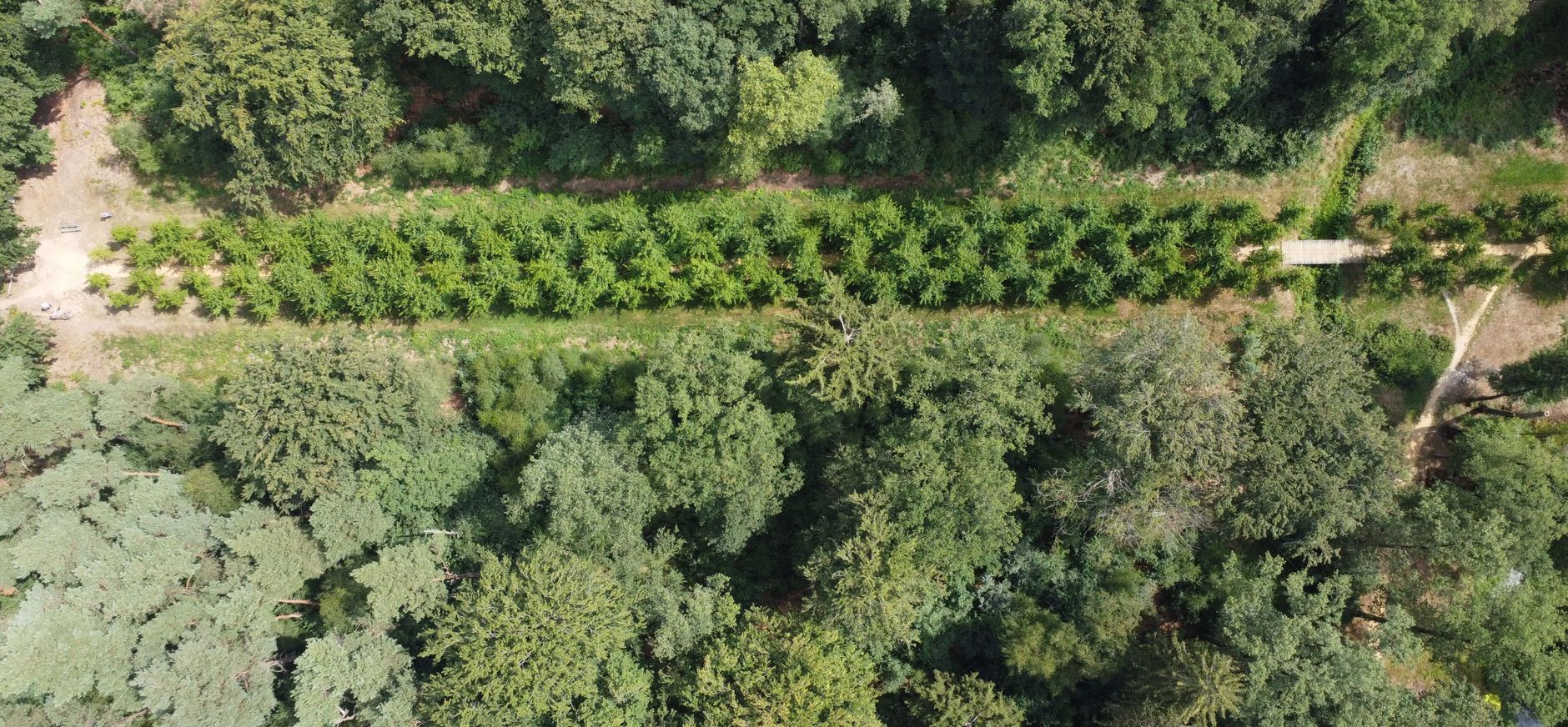jonge laan op Het Enzerinck