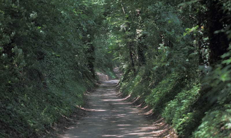 Holle weg in Thull Holle weg in Thull