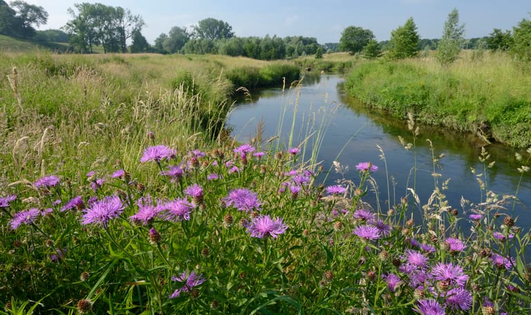 Geleenbeekdal Geleenbeekdal