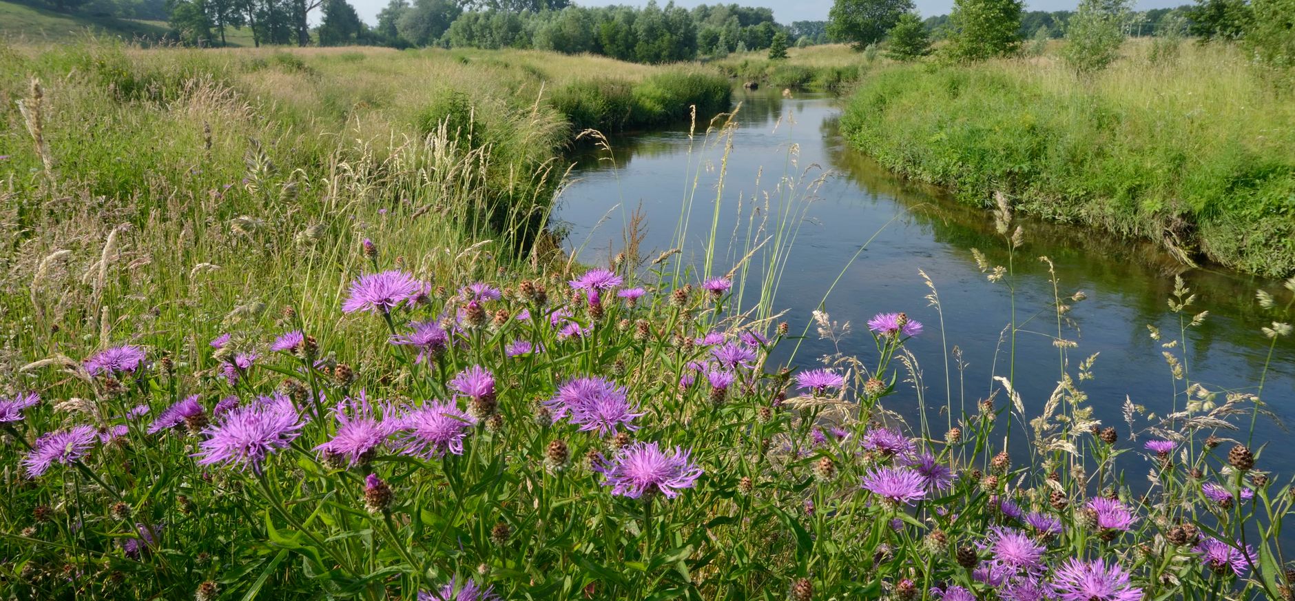 Geleenbeekdal Geleenbeekdal